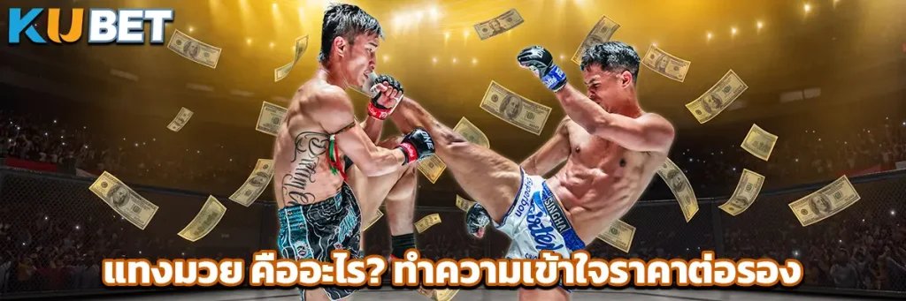 แทงมวย คืออะไร? ทำความเข้าใจราคาต่อรองและการเดิมพันมวยสำหรับมือใหม่
